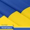 G128 3 Pack: Ukraine Ukrainian Flag | 3x5 Ft | LiteWeave Pro Series Printed 150D Polyester, 4 Corner Brass Grommets | Country Flag, Vibrant Colors, More Durable Than 100D 75D Polyester